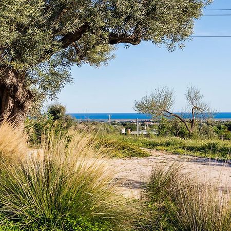 Quinta Da Baleeira Villa Tavira Eksteriør bilde