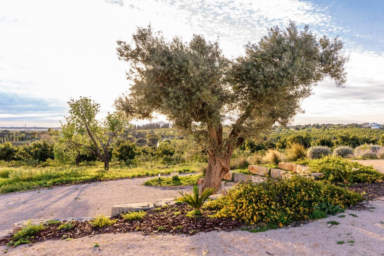 Quinta Da Baleeira Villa Tavira Eksteriør bilde