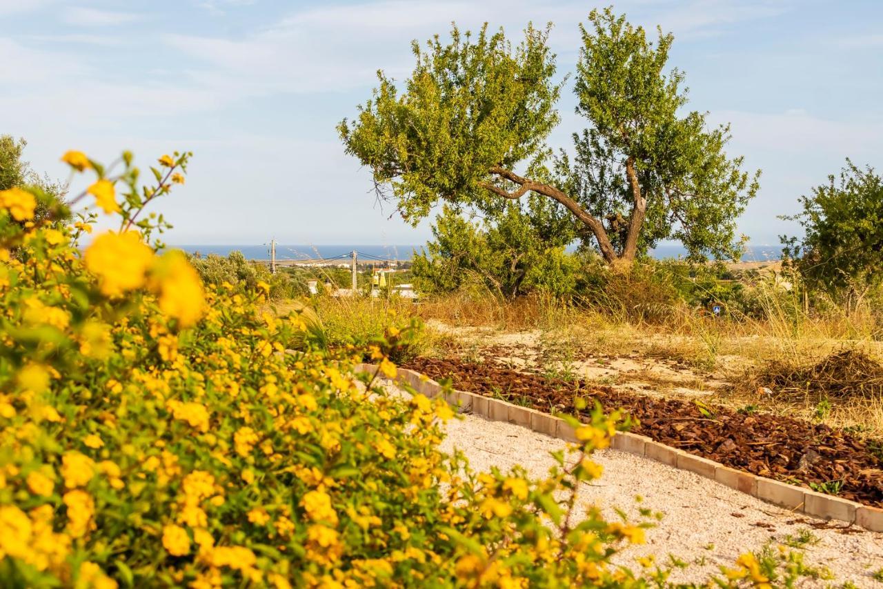 Quinta Da Baleeira Villa Tavira Eksteriør bilde