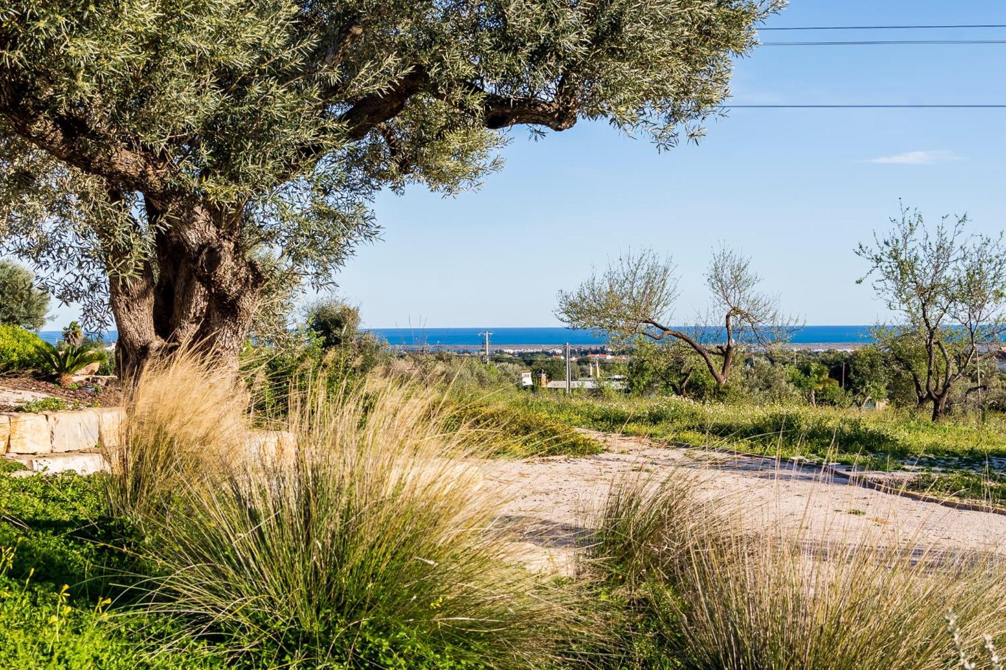 Quinta Da Baleeira Villa Tavira Eksteriør bilde